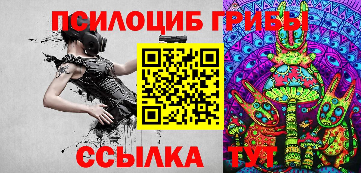 Псилоцибиновые грибы Psilocybe Кашира
