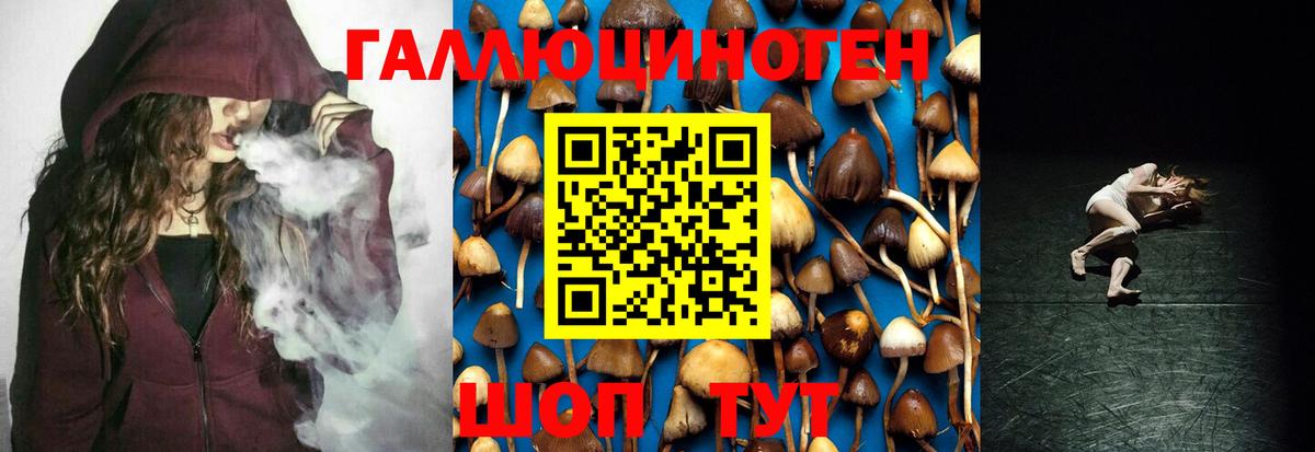 Галлюциногенные грибы MAGIC MUSHROOMS  Вход с VPN  купить   Кашира 